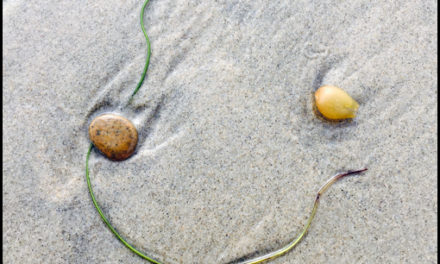 Smile in the seaweed