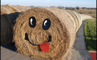 A fun hay fever to catch… smiley barrels in the field